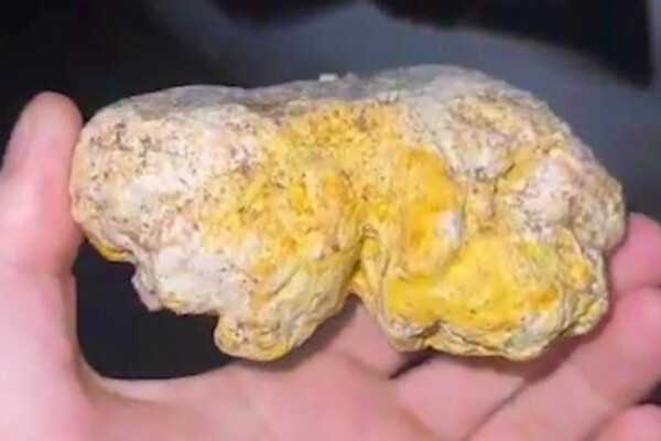 A clump of whale vomit