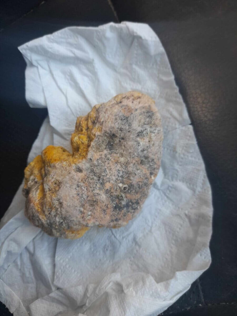 whale ambergris