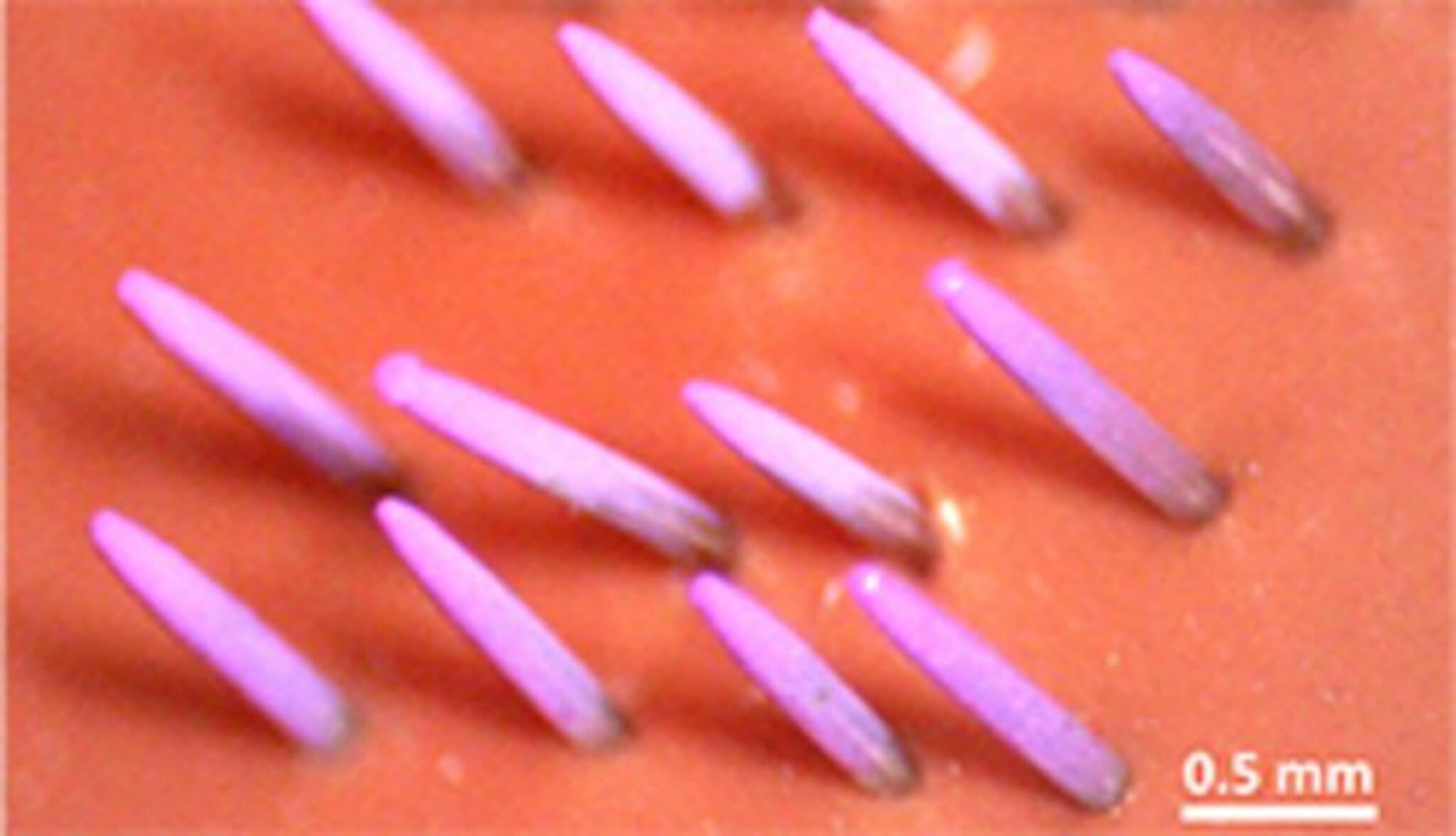 Dyed DNA vaccine coated on a microneedle array by efficient electrospray deposition