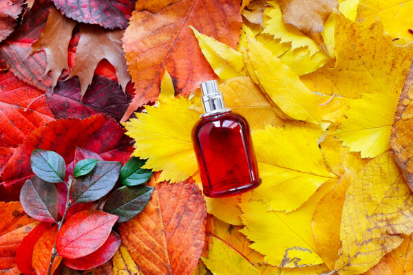 Fall perfume