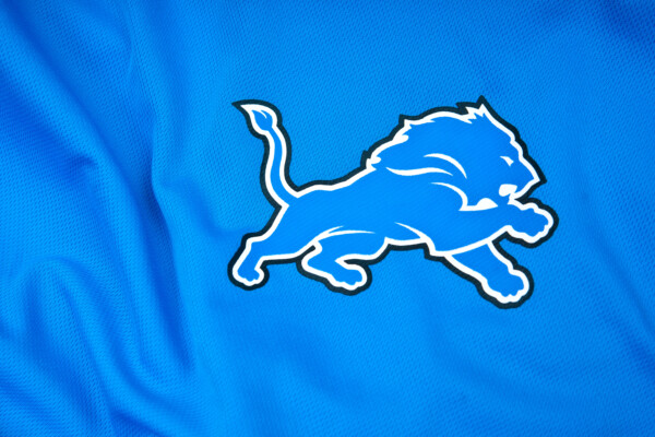 Detroit Lions flag