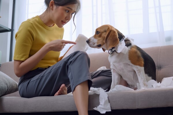 A woman scolding her dog for chewing something