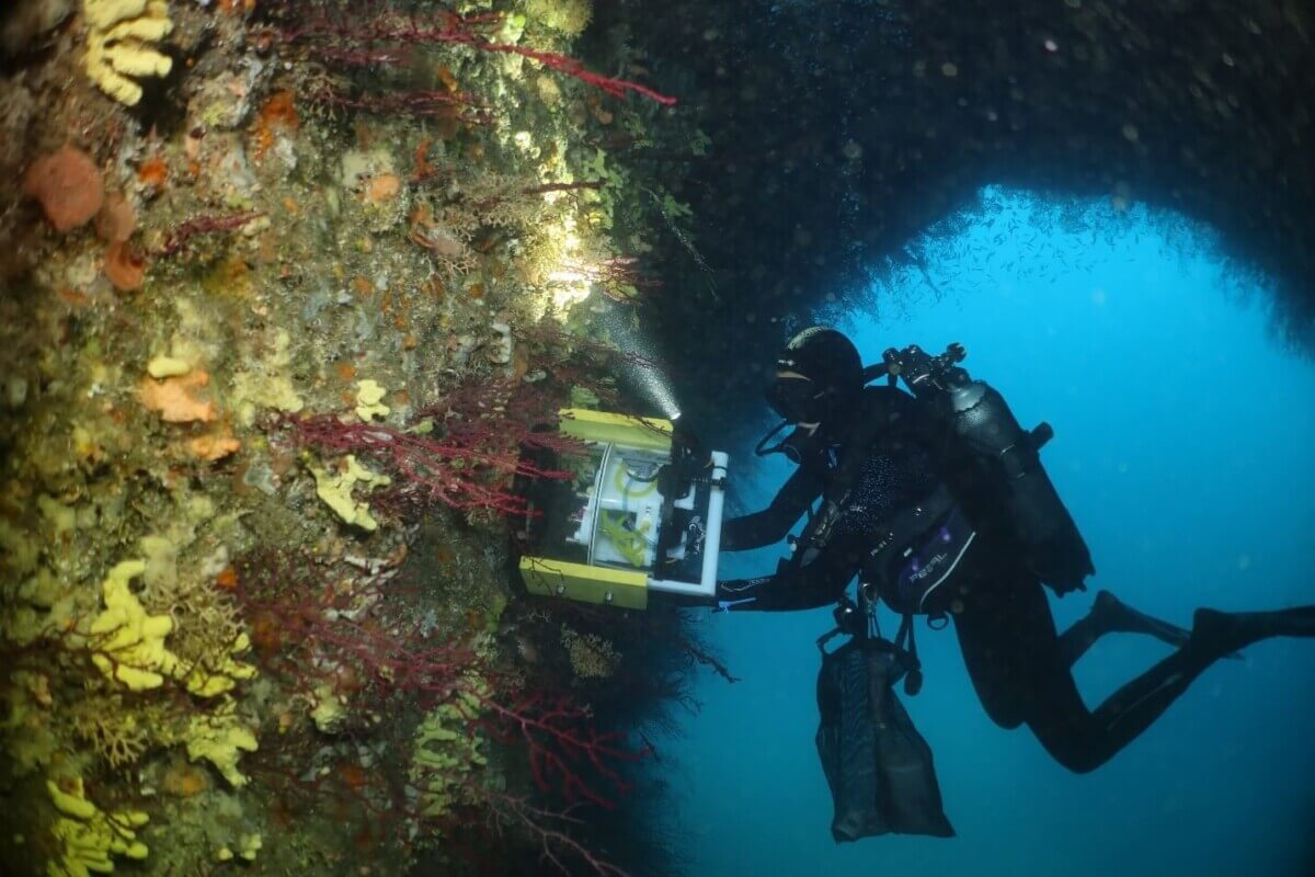 High-tech device that “smells” seawater being used in search for new medicines