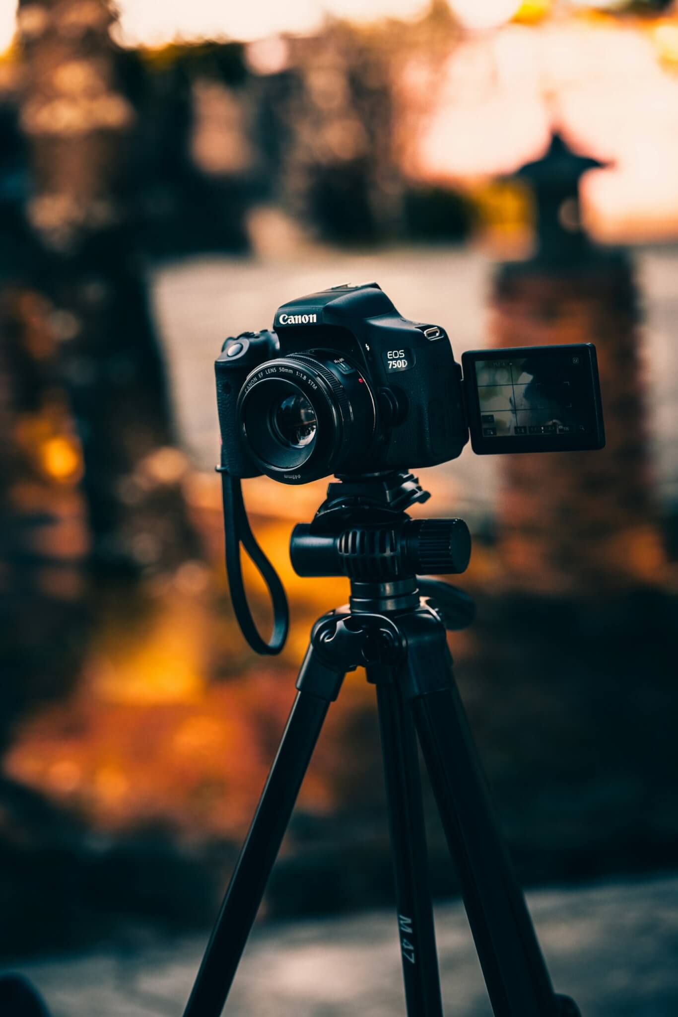 Camera on a tripod