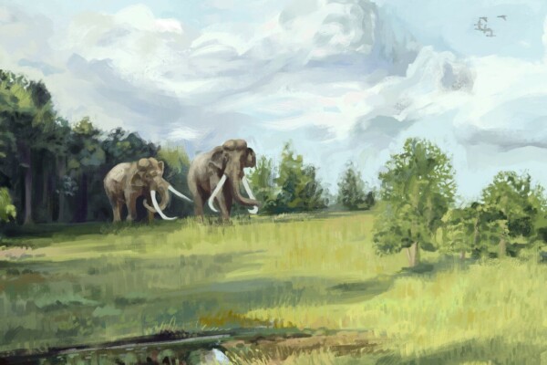 Illustration of elephants in pre-human Europe