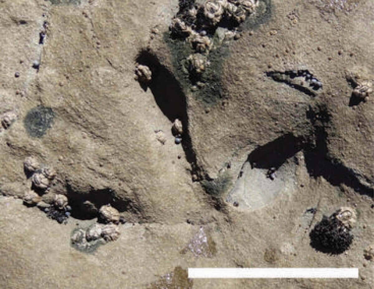 footprints