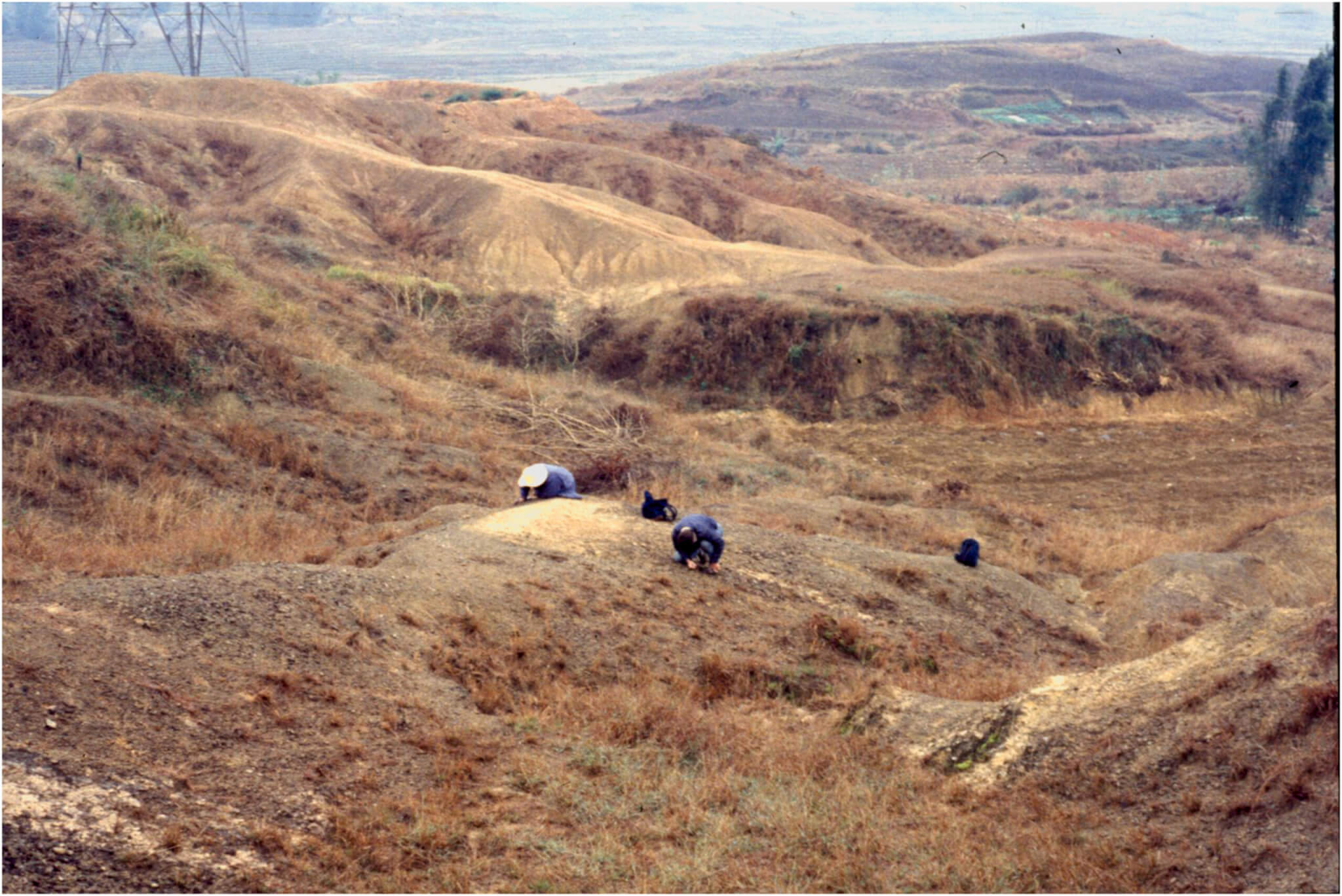 Type locality for Palaeohodites naduensis near the village of Quelin, Baise Basin, Guangxi Zhuang Autonomous Region, southern China