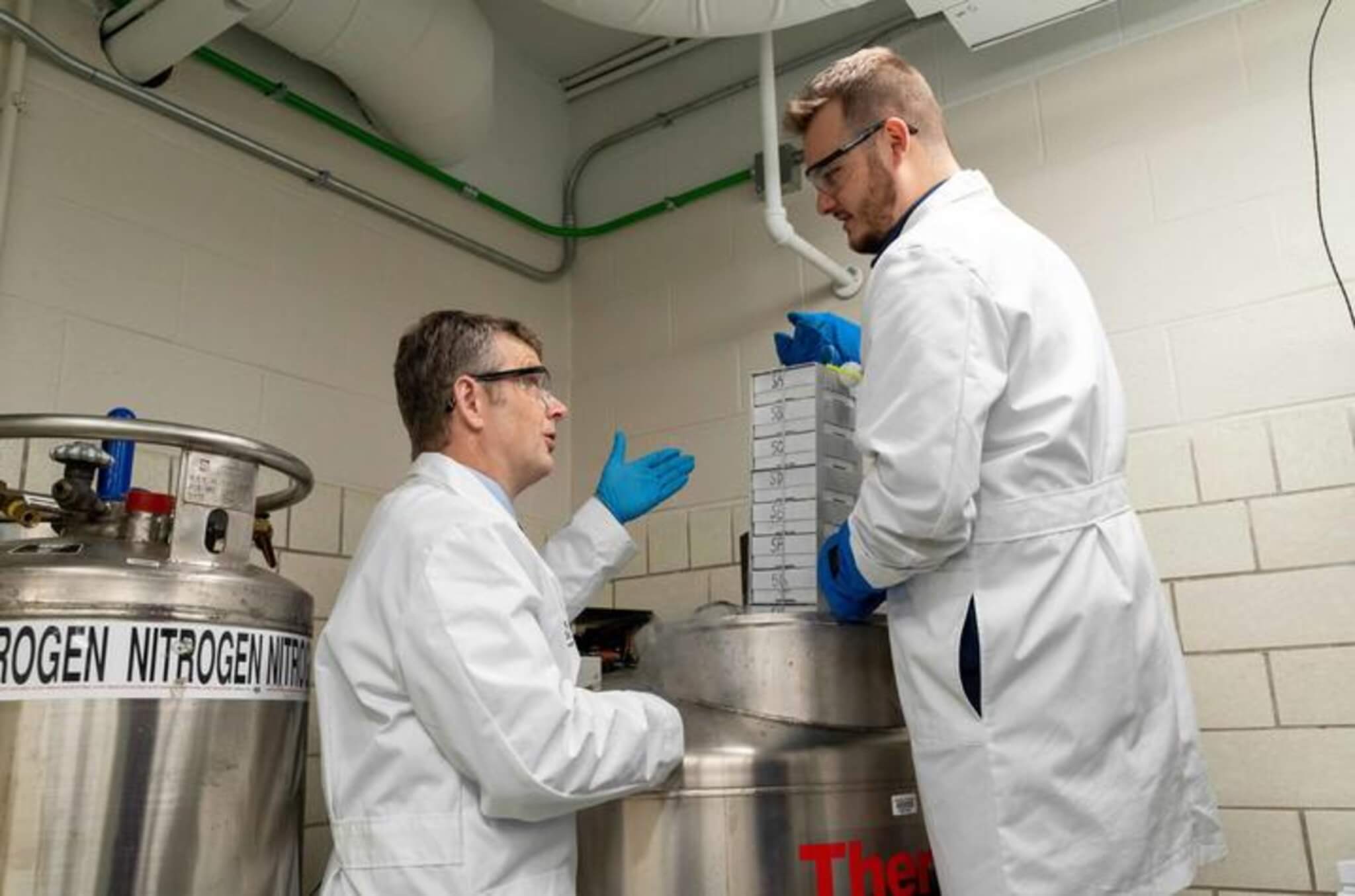 The research team collected heart samples from the Gill Cardiovascular Biorepository