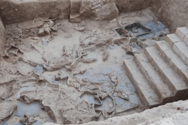 Sacrificed horses from the courtyard of Casas del Turuñuelo