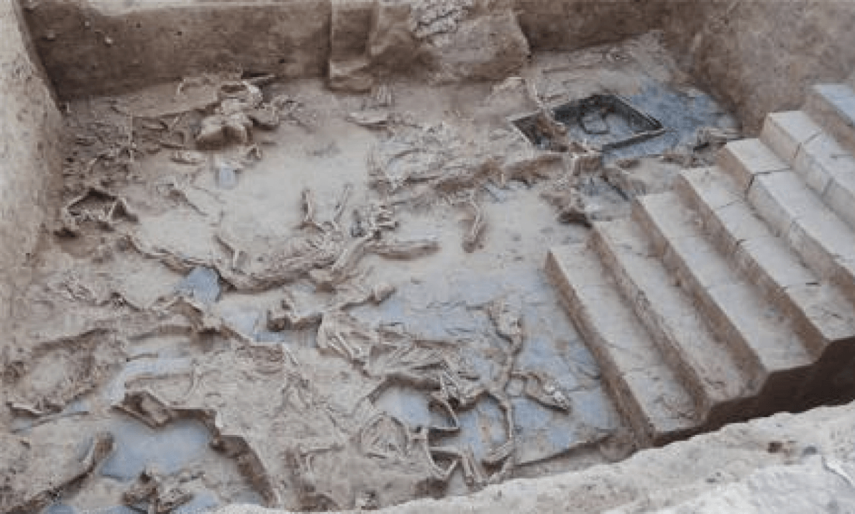sacrificed horses