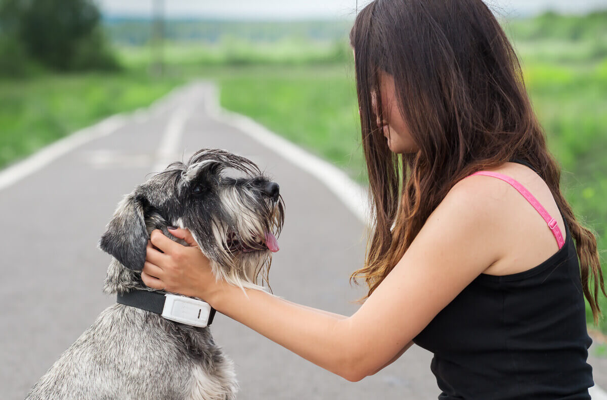 A girl petting her dog with a tracker on its collar