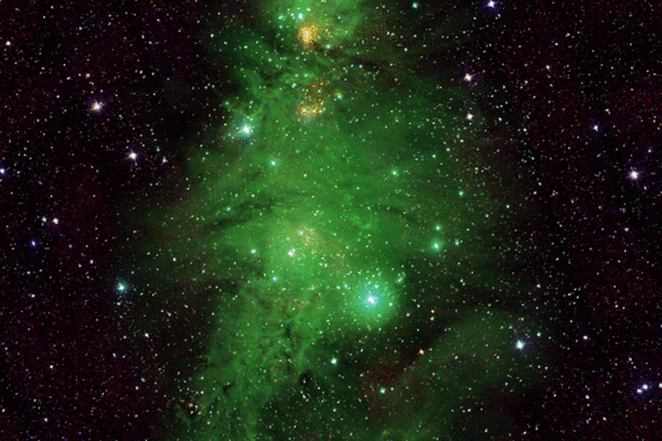 This composite image shows the Christmas Tree Cluster.