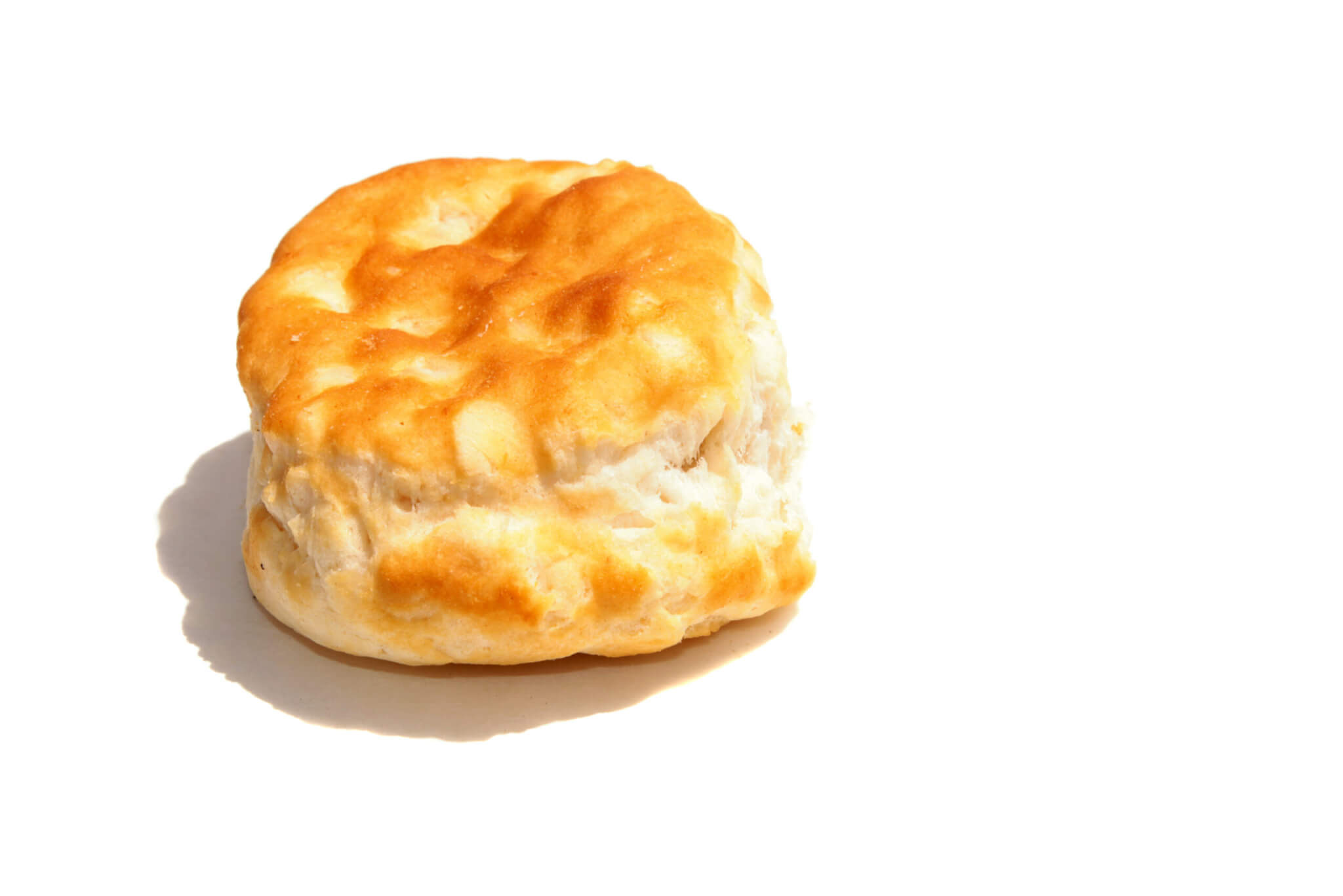Biscuit