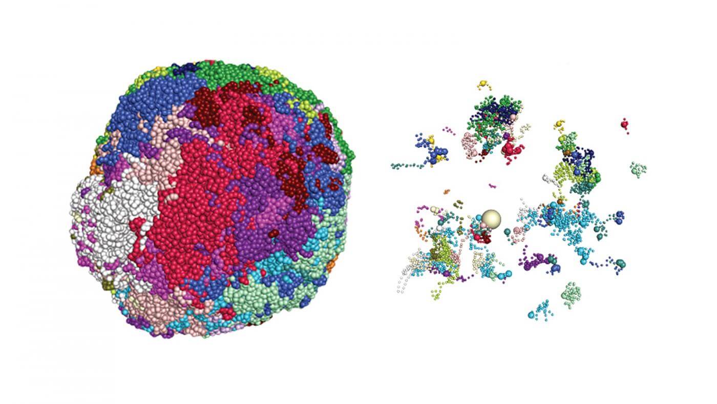nose cell smelling genome