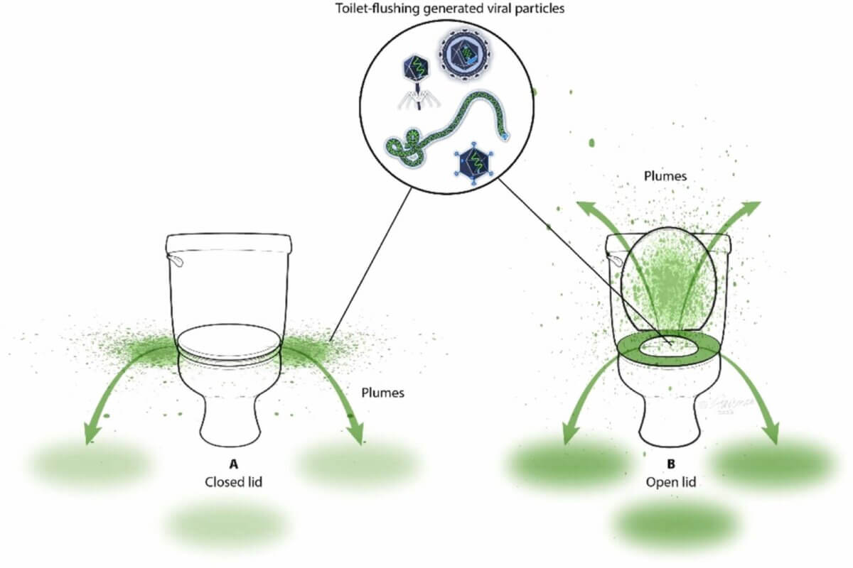 Schematic depiction of MS2 aerosolization and spread to adjacent areas after flushing a home toilet of U.S design.