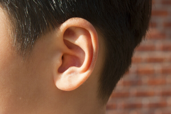 Ear of young boy.