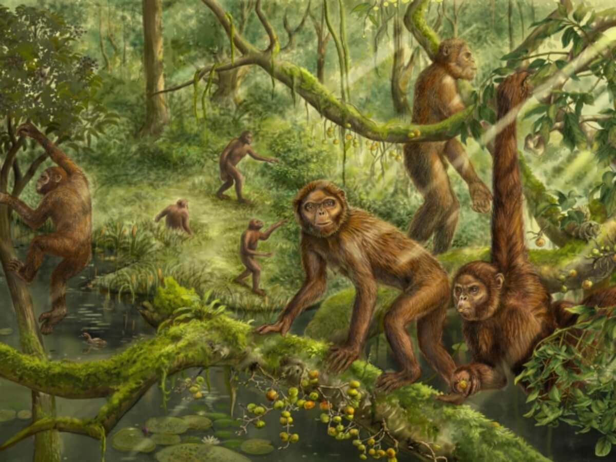 Paleoenvironment of Lufengpithecus