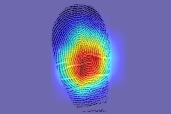 Saliency map highlights areas that contribute to the similarity between the two fingerprints from the same person