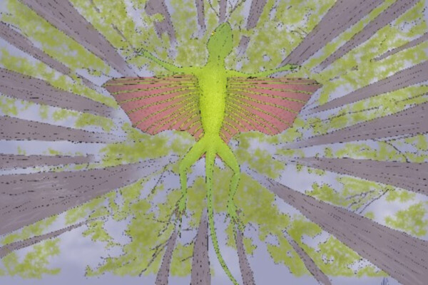 Artist’s impression of a gliding reptile Kuehneosaurus