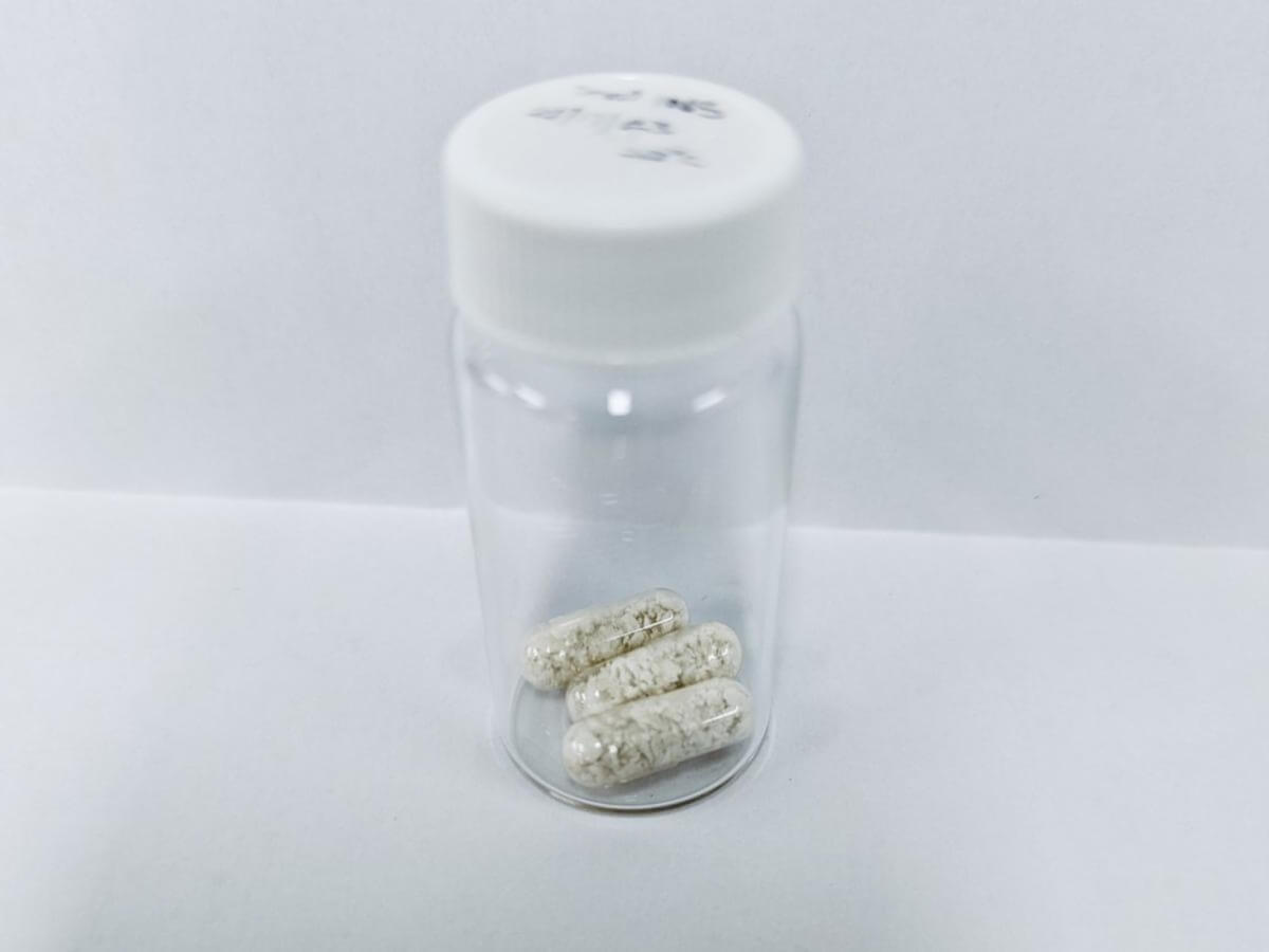 These capsules containing nano-carriers with insulin will be tested on humans in 2025
