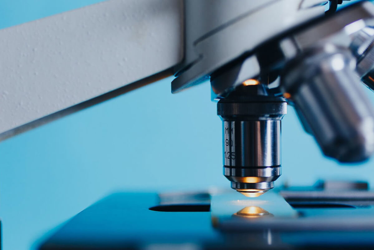 When humans examine tissue on slides, they can only look at a limited field within the microscope, then move to a new field and so on
