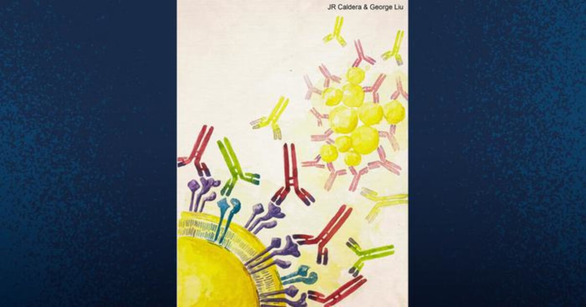 This illustration shows SA (golden spheres) and various antigens and antibodies