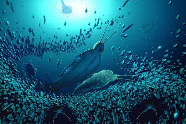 A reconstruction of the pelagic ecosystem and the organisms fossilized in Sirius Passet, revealing how Timorebestia was one of the largest predators in the water column more than 518 million years ago