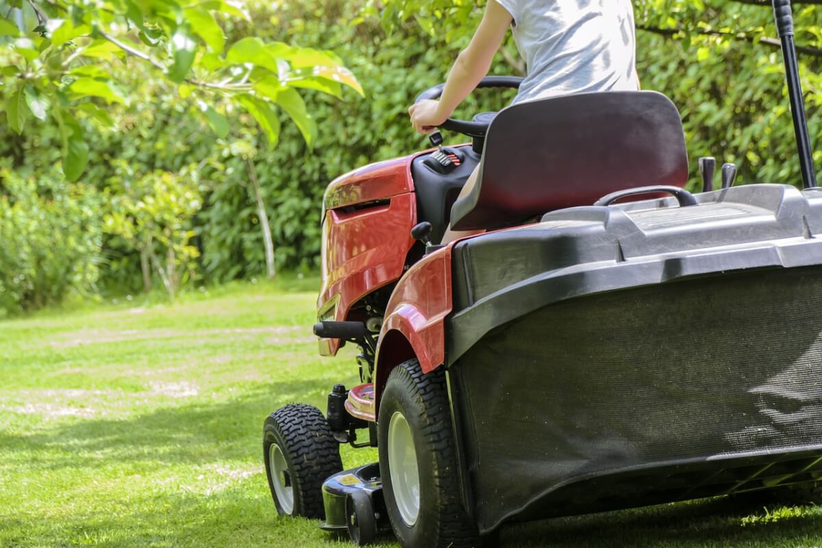 mowing the grass, gardening, lawn