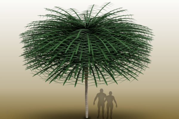 Sanfordiacaulis model with simplified branching structure for easier visualization. Note that humans are provided for scale but did not exist concurrently with the tree.