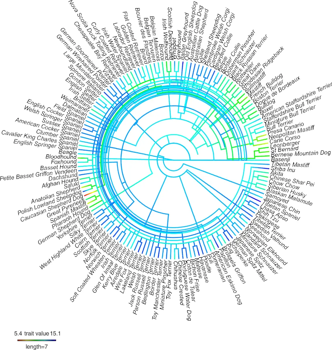 Dog Longevity Study