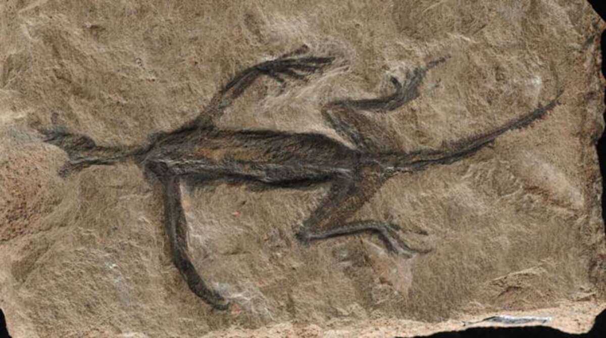 Tridentinosaurus