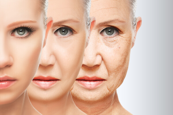 skin aging