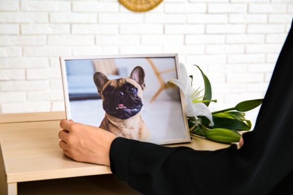 A woman looking at a photo of her dog