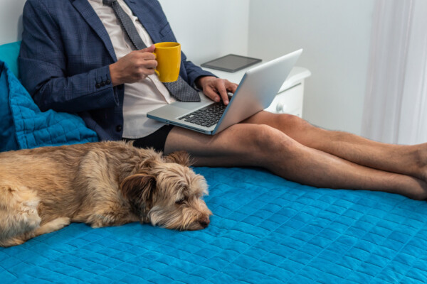 Remote worker in meeting in his underwear
