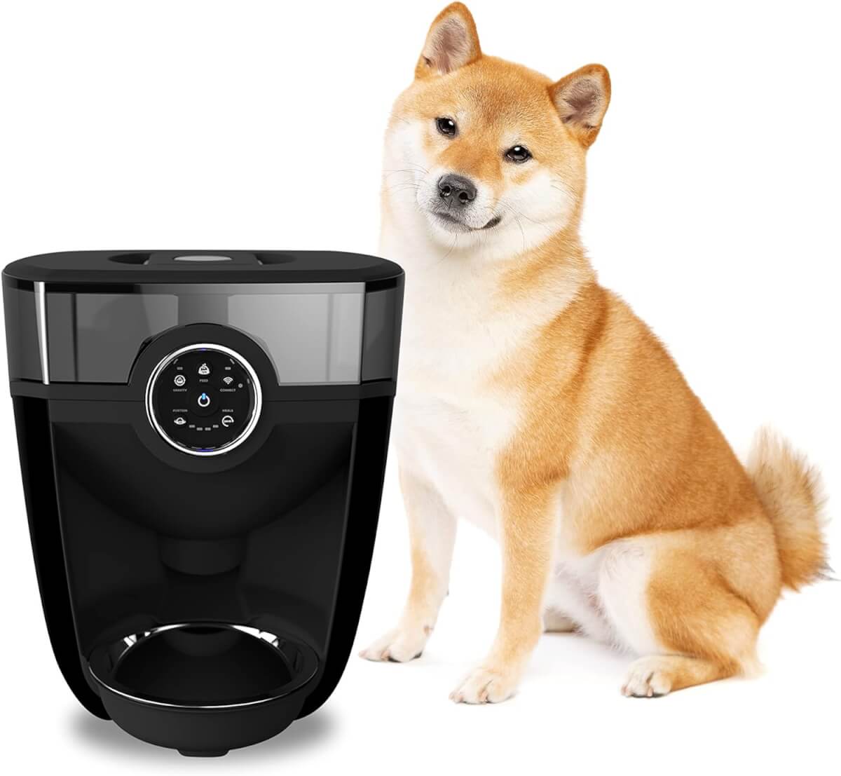 Whisker Feeder Robot