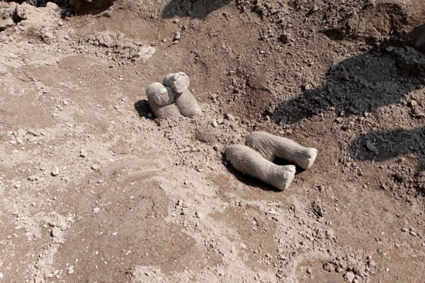 A buried elephant carcass on an Indian tea estate.