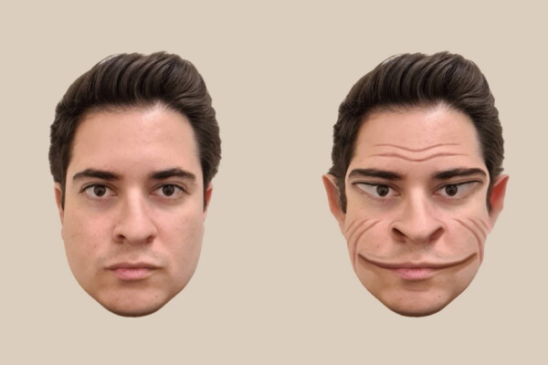 Computer-generated images of the distortions of a male face, as perceived by the patient with prosopometamorphopsia