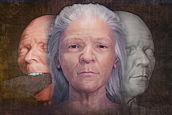 Recreation of the woman's face using 3D software allowed examination whether a brick could have been inserted into her mouth.