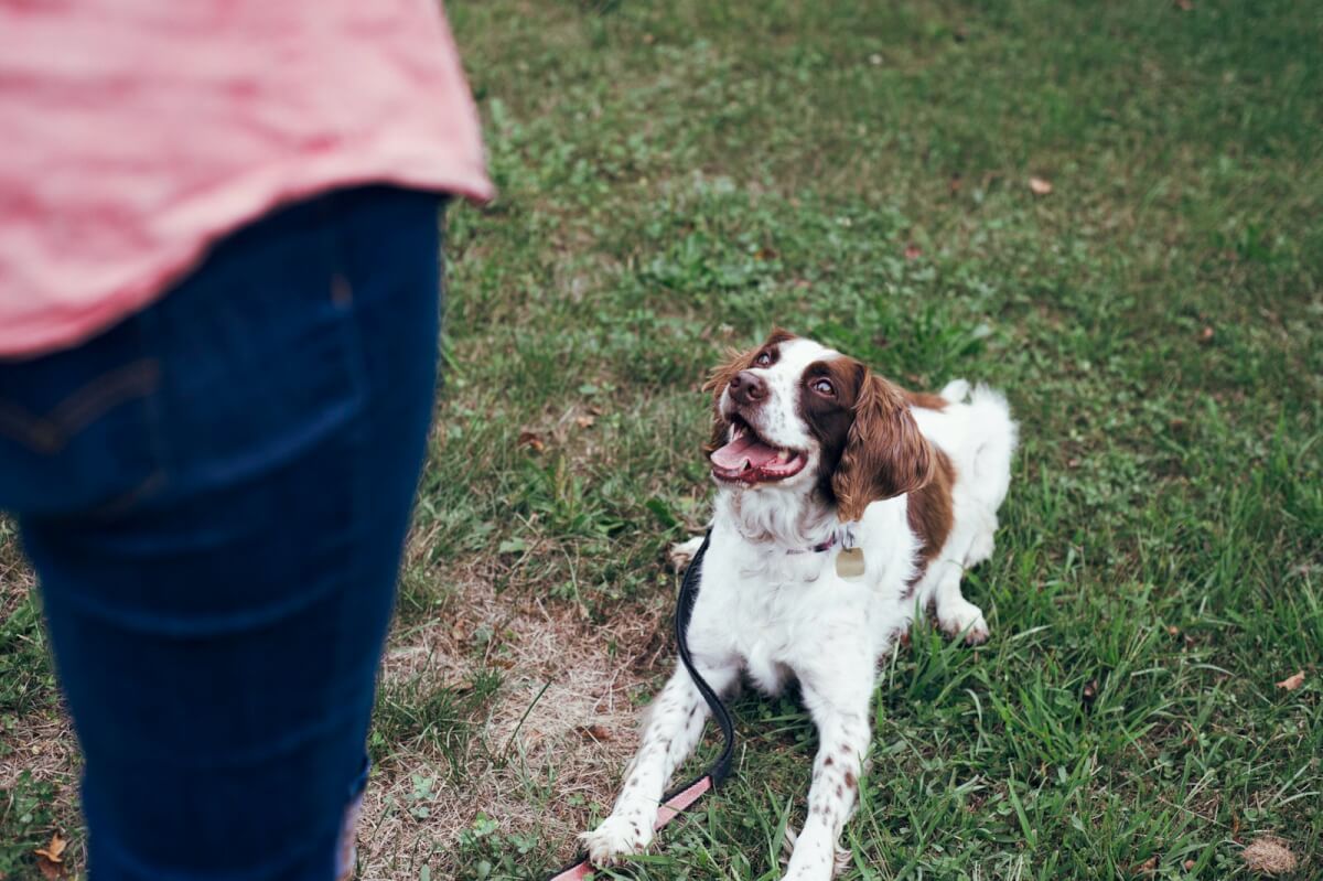 Photo by Destiny Wiens