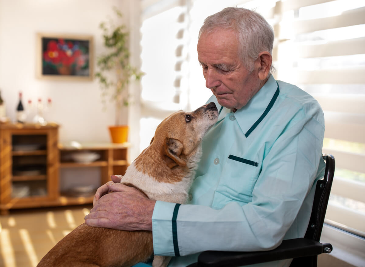 Dog with older man
