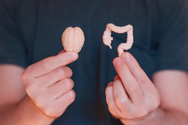 Gut-brain axis: Person holding a tiny brain and digestive tract