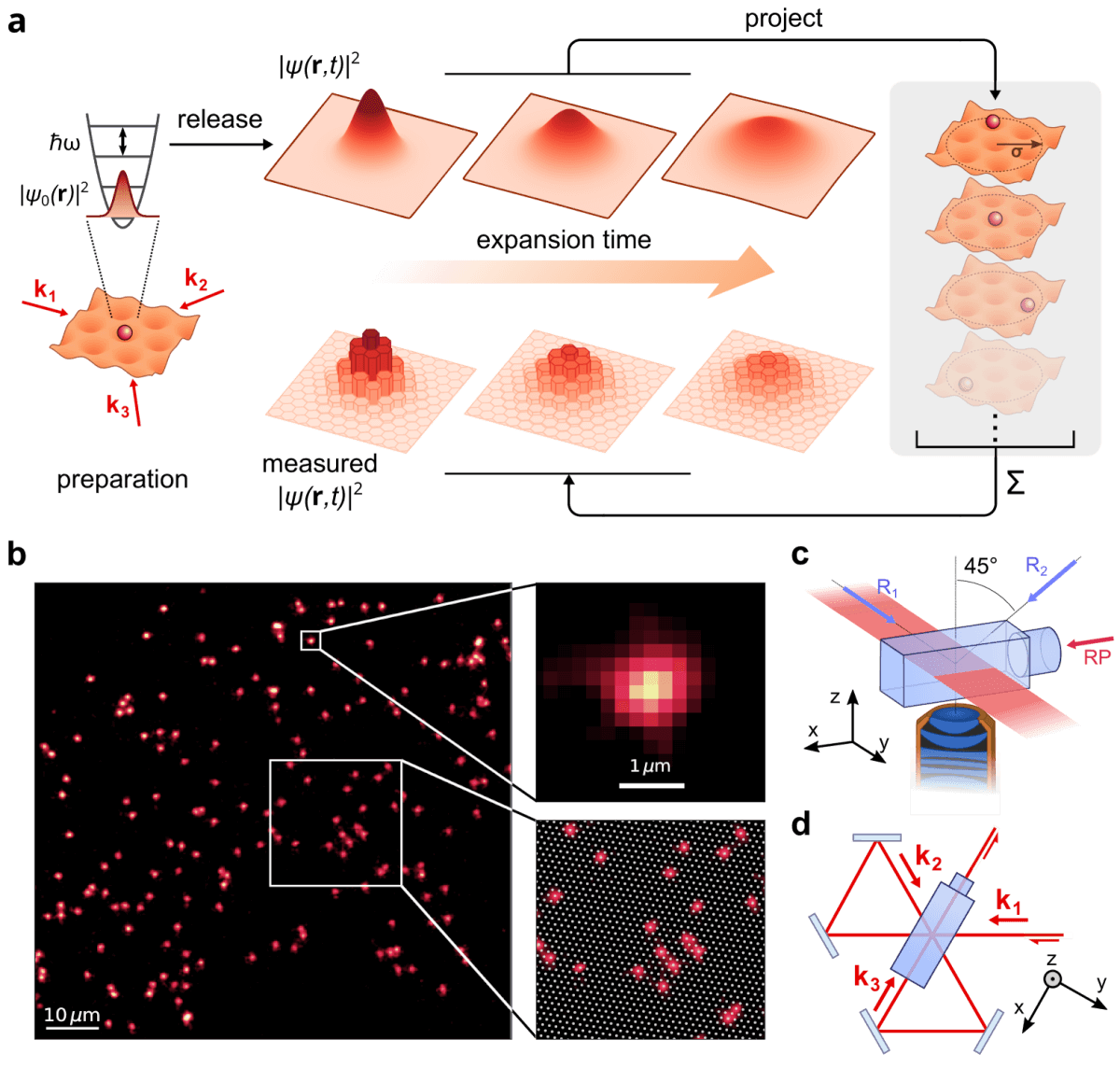 Preparation and in-situ imaging of single-atom wave packets. 