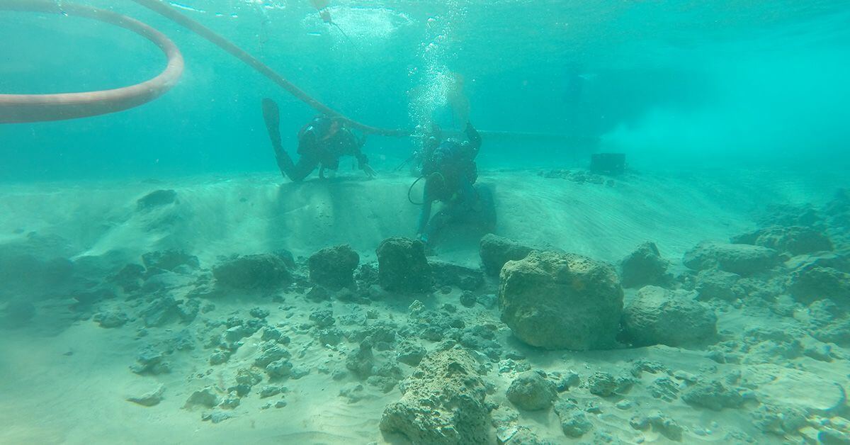 divers habonim