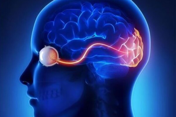 eye implant close up
