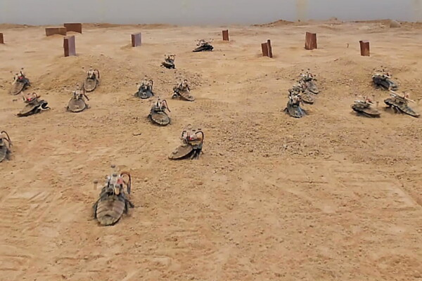 Algorithm-controlled Madagascar hissing cockroaches were examined to see how they navigated through dusty and rocky terrain.