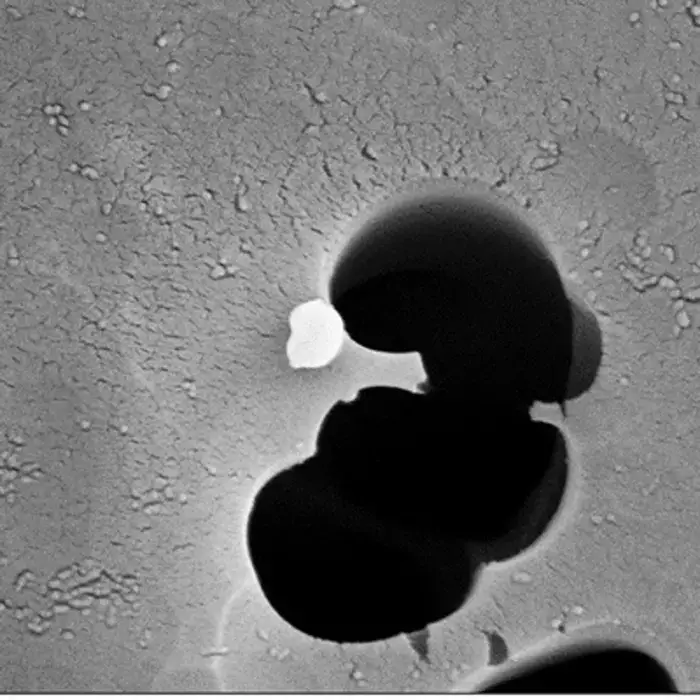 Rutgers researchers collected this resuspended silver nanoparticle during a study on indoor exposure to the microscopic particles. 