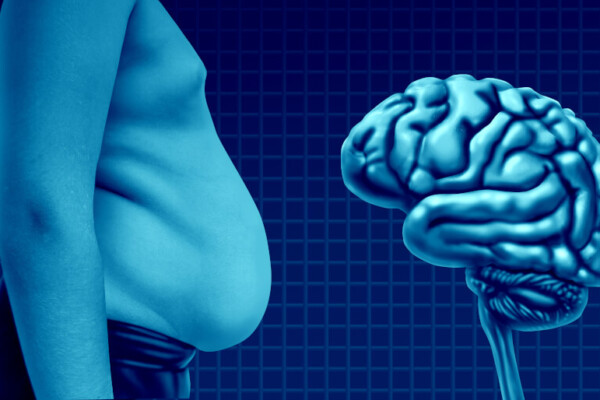 Obesity And The Brain