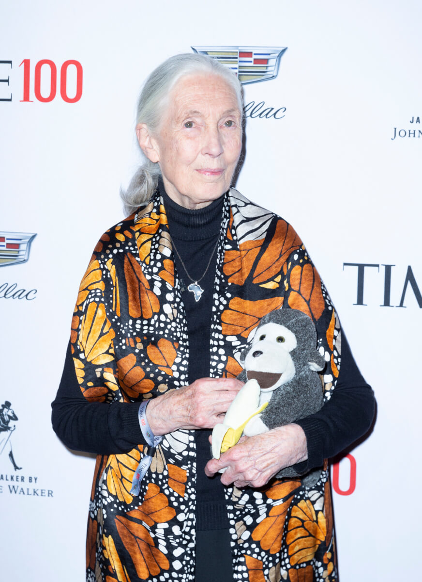 Jane Goodall attends the TIME 100 Gala 2019