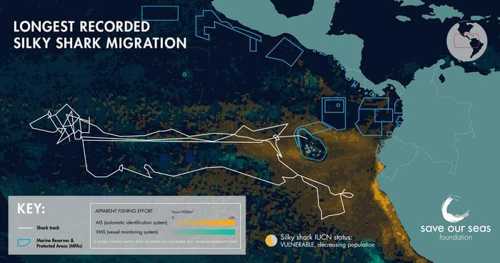 Estimated locations for ‘Genie’ from her tagging location at Wolf Island, the Galapagos Marine Reserve, with a fin-mount SPOT tag and tracked for 546 days. 