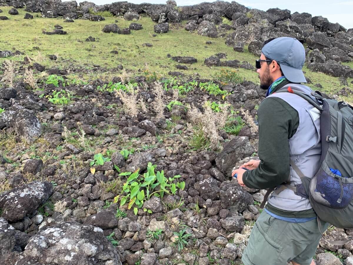 Study coauthor Robert DiNapoli inspects a rock garden on Easter Island.